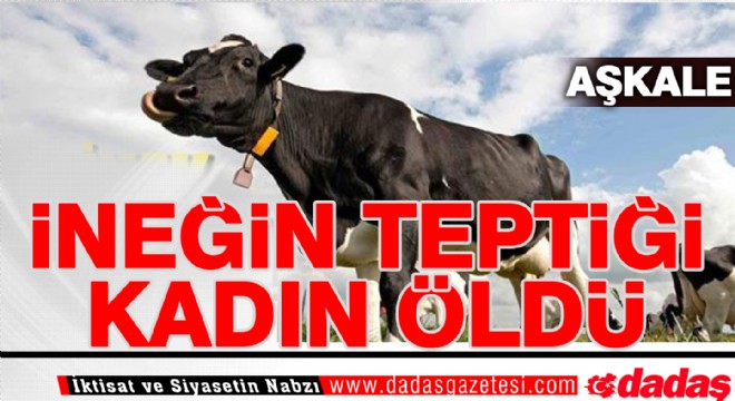 İneğin teptiği kadın öldü 